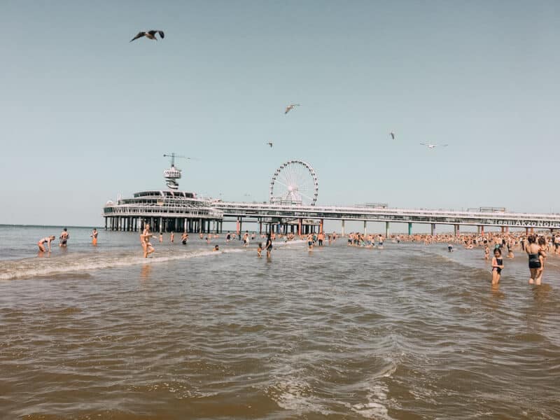 Water filled with people and a large pier with a ferris wheel in the distance 