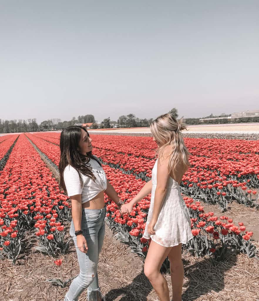 Two girls standing in front of pink coloured tulip fields