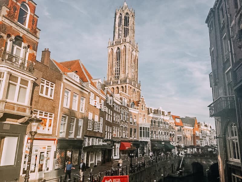 Large tower reaching into the hair with dutch houses in front of it