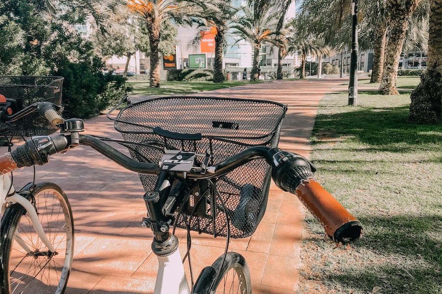 Bikes on a path in Valencia 