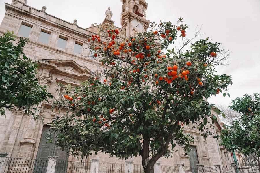 Old town of Valencia