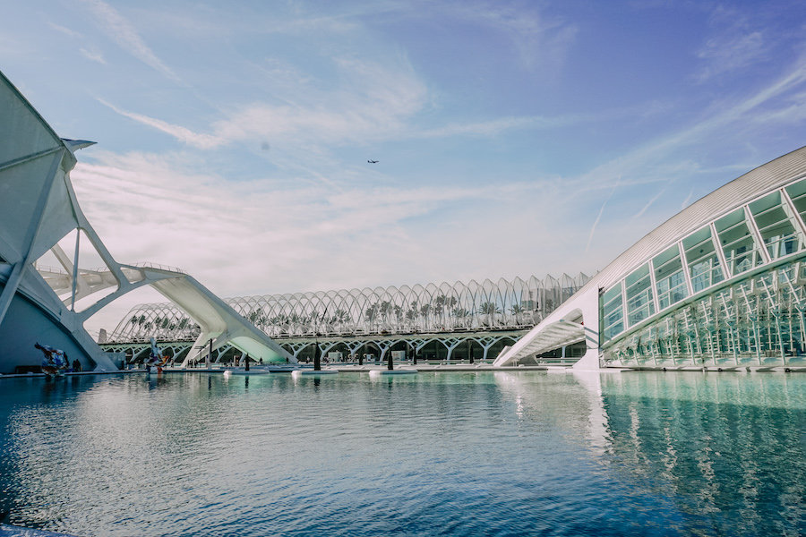 Umbracle from a distance