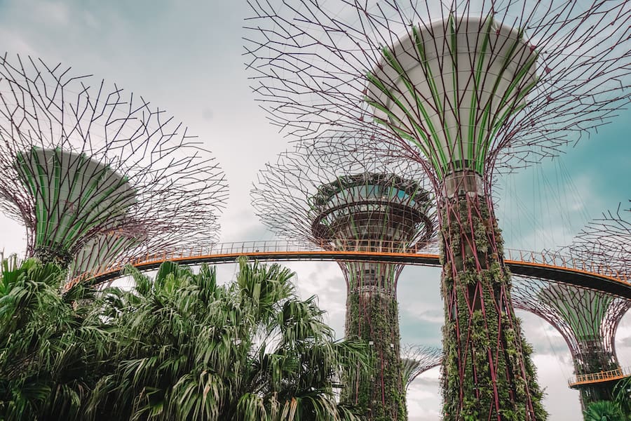 Singapore super tree grove