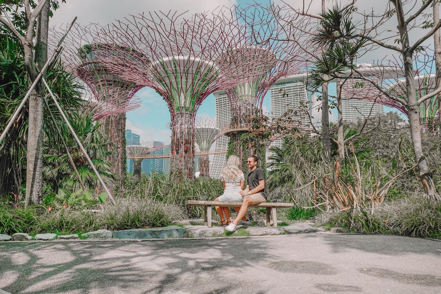 Things to do in Singapore for couples, visit the Super tree grove in Singapore