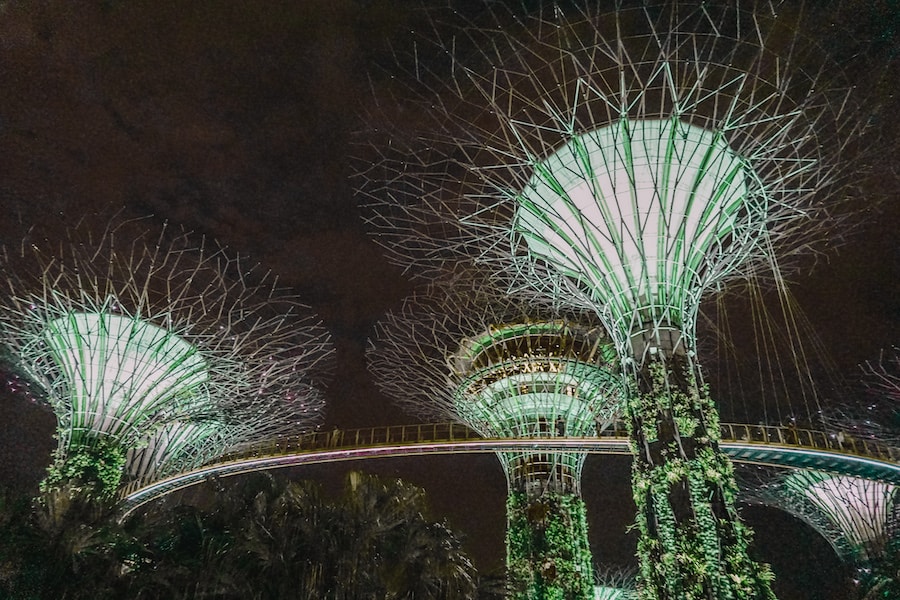 Singapore super tree grove at night