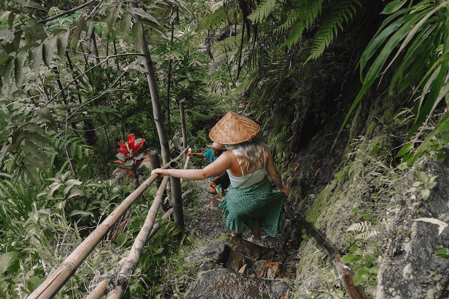 Jungle explorations in Lombok