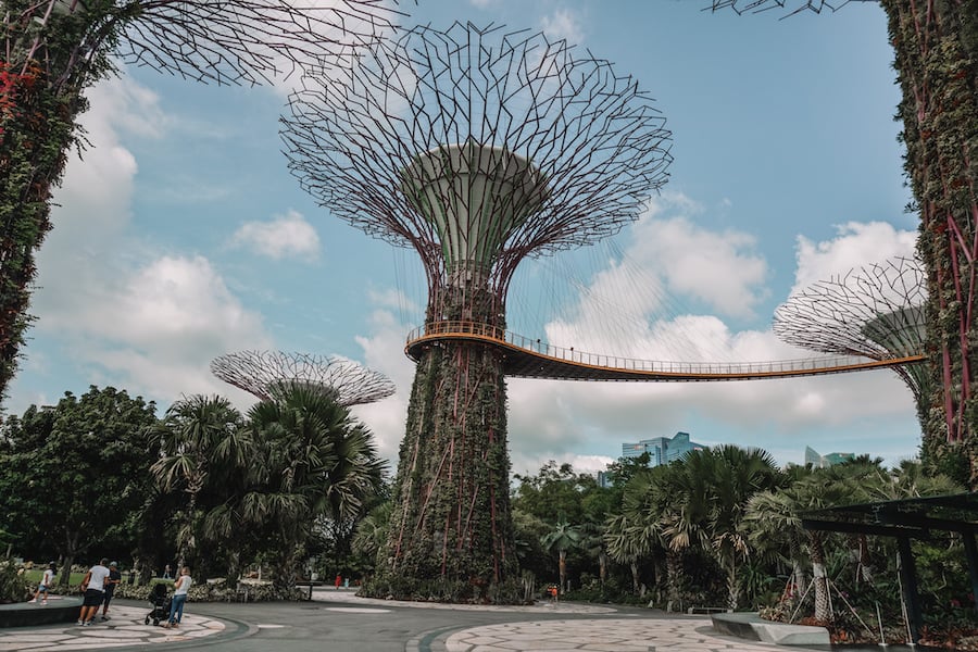 2 days in Singapore - Singapore supertree grove