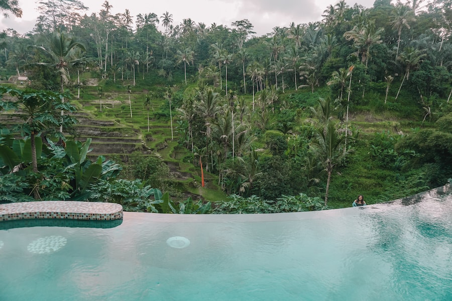 Infinity pool with Rice fields in Ubud