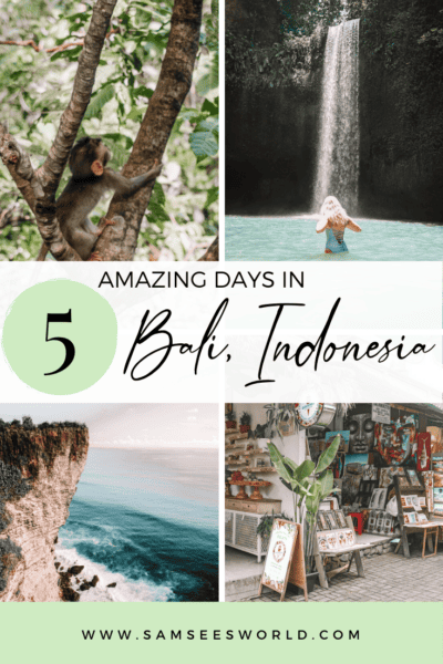 5 day Bali itinerary pin