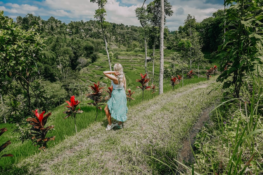 Blonde girl standing in front of the rice fields