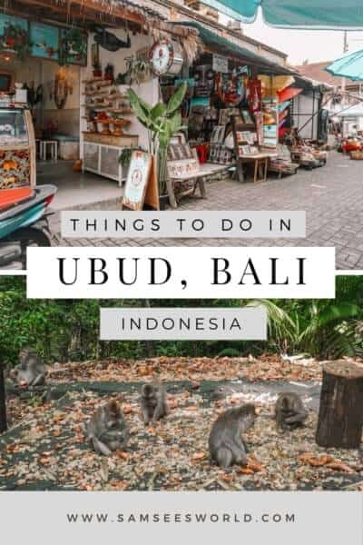 Things to do in Ubud, Bali pin