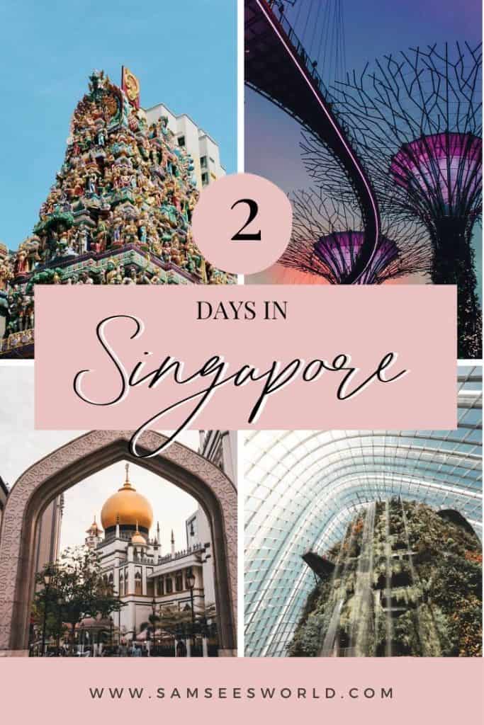 2 days in Singapore - pin 