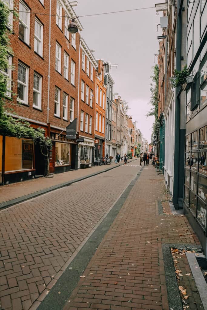 Amsterdam Streets in Autumn