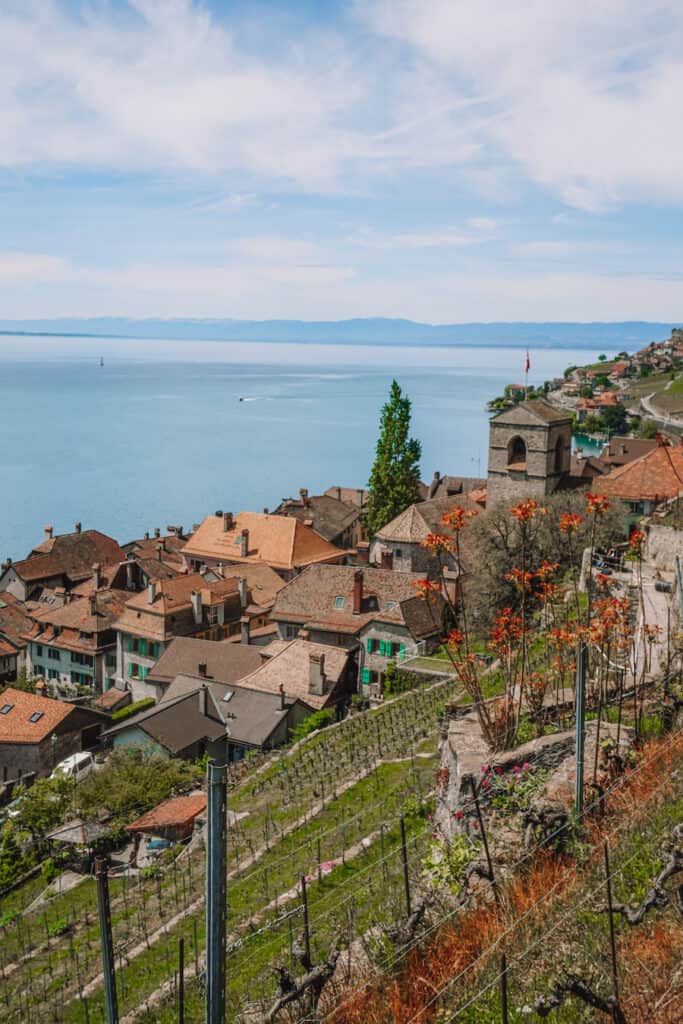 Orange roofed village with vineyards