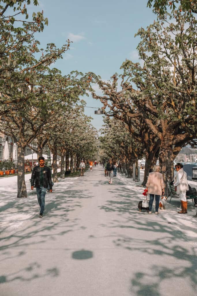 Promenade in Lucerne