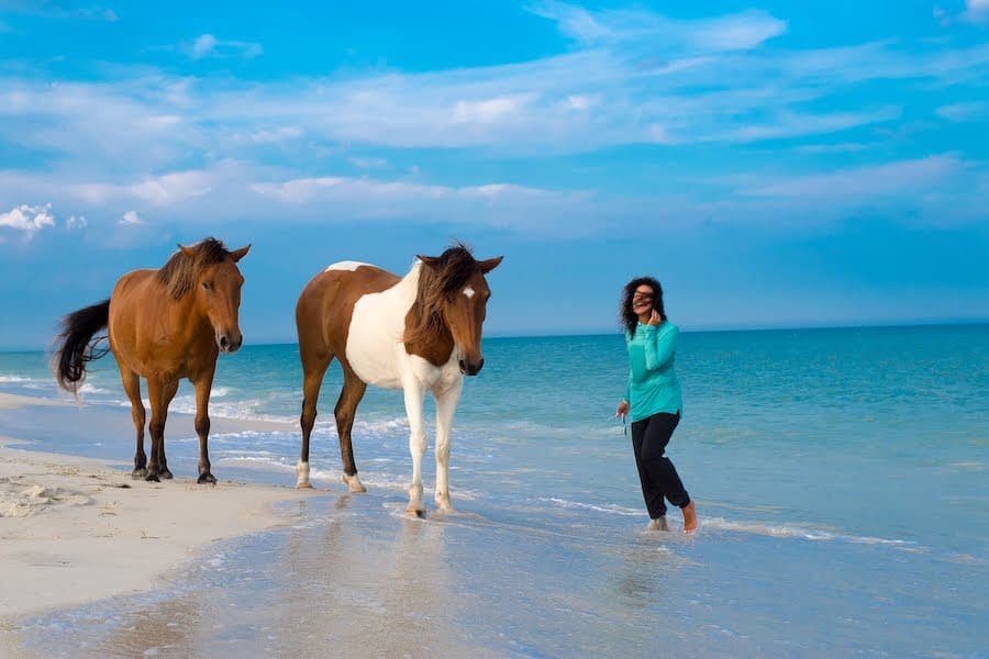 Beach with horses and a women