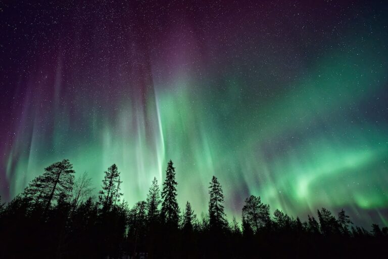 8 Best Holidays to See The Northern Lights