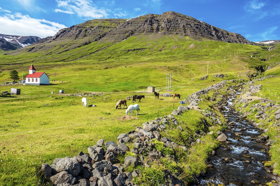Landscape of Mjoifjordur village with the water stream at right, horses in the green meadow and the church at left. Austurland, Fjardabyggd, Eastern Iceland (Landscape of Mjoifjordur village with the water stream at right, horses in the green meadow a