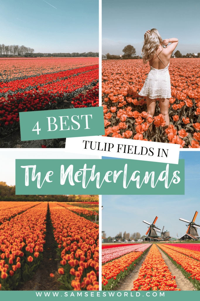 4 Best Netherlands Tulip Fields pin