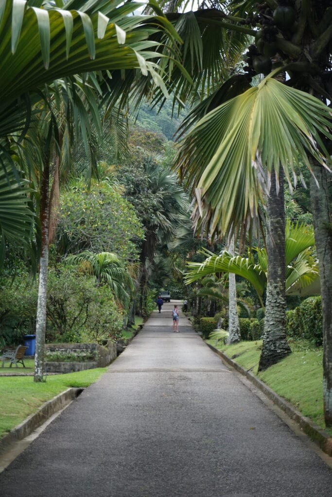Botanical gardens in Mahe