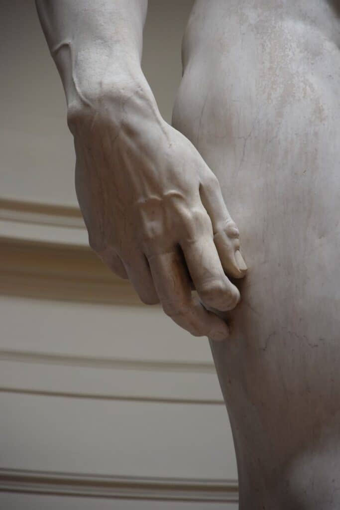 Michelangelo's Original David