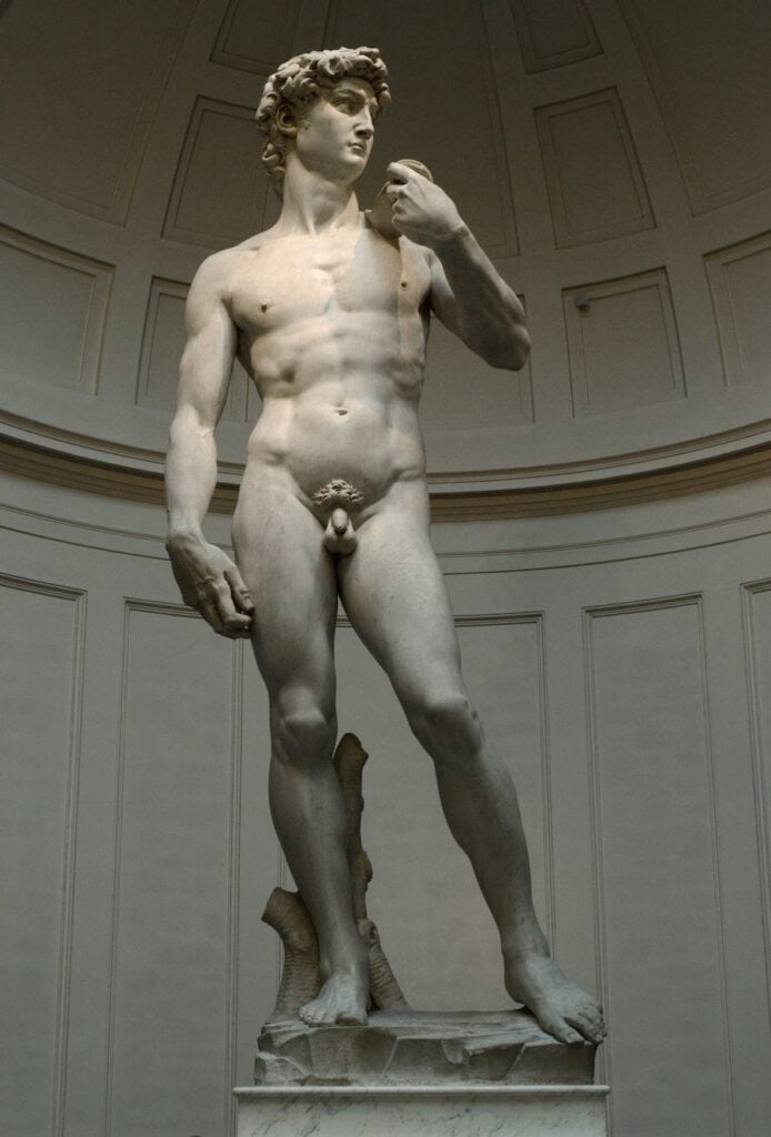 Michelangelo's Original David