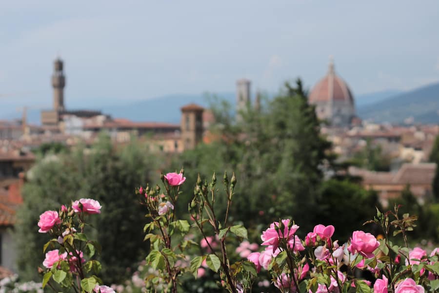 view over Florence at the rose garden - giardino delle rose - with the cuppola of the Duomo and the Palazzo Vecchio
