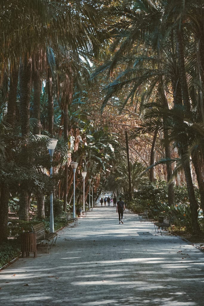 Parque de Málaga (Malaga Park)