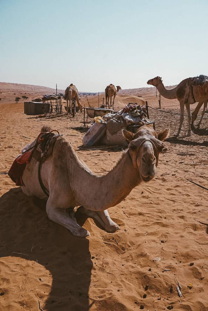 Wahiba Sands Desert