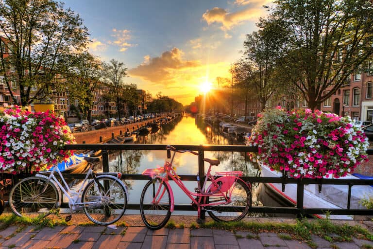 8 Best Amsterdam Bike Tours 2024