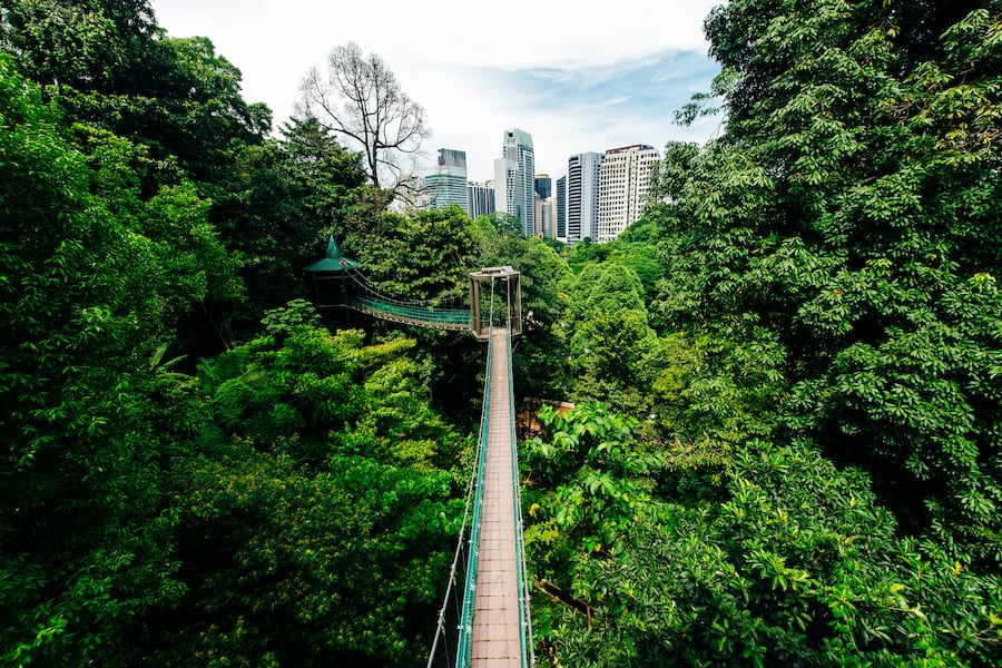 Kuala Lumpur city view from Bukit Nanas Forest Reserve and now called Forest Eco-Park.