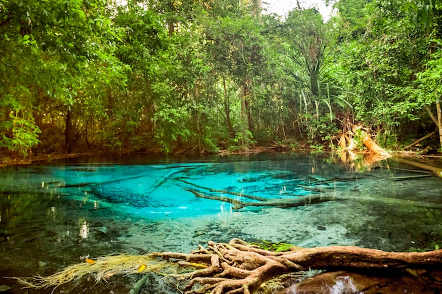 Emerald Pool or Tha Pom Klong Song Nam at Krabi Province, Thailand. Amazing crystal clear emerald canal with mangrove forest. Beautiful nature landscape. Travel, holidays, recreation concept