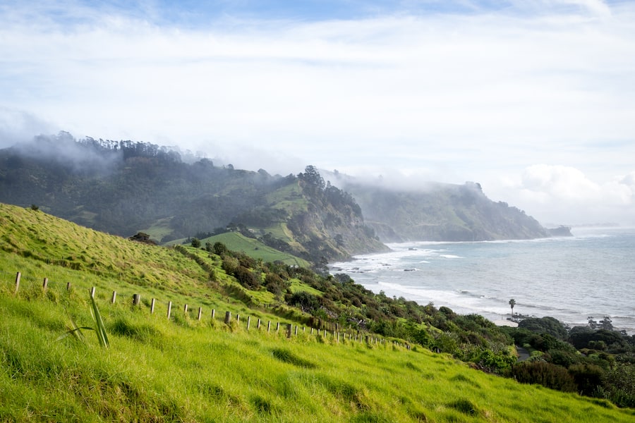 Beautiful Landscape Over Goat Island Marine Reserve in Sunny Weather with Stormy Seas near Auckland, New Zealand