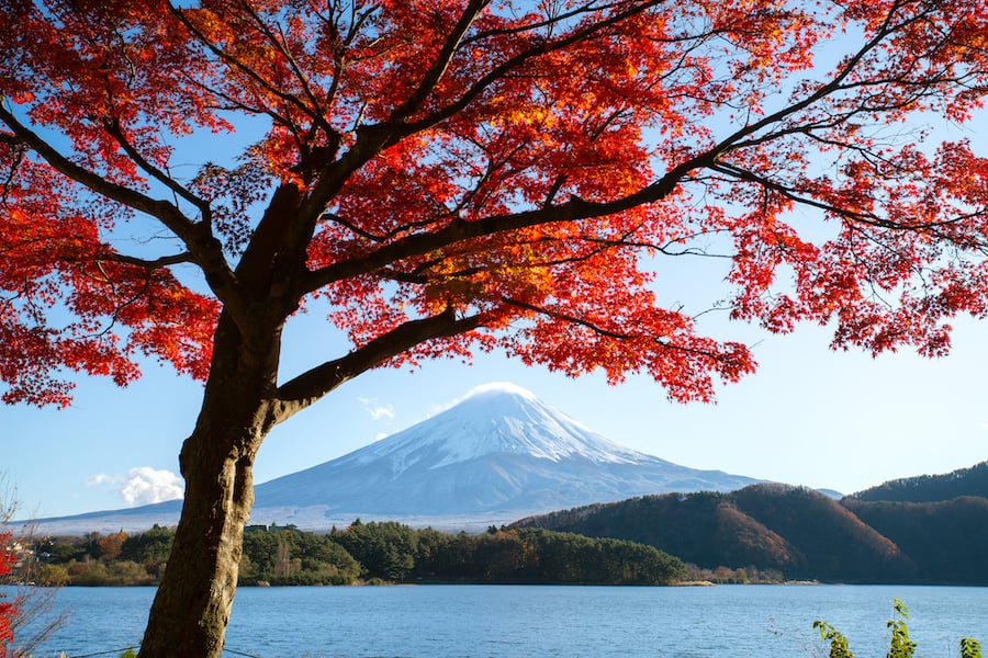 Landscape of Mount Fuji at Lake Kawaguchiko, one of Fuji Five Lakes Area, Fujikawaguchiko, Yamanashi, Japan