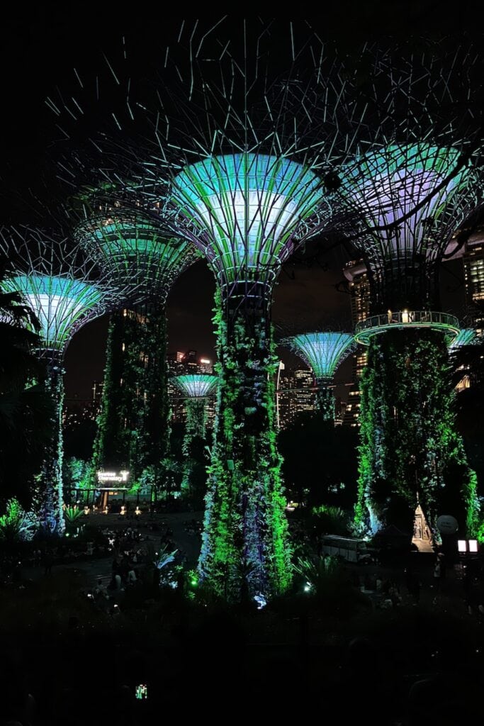 Gardens by the Bay Night Show 