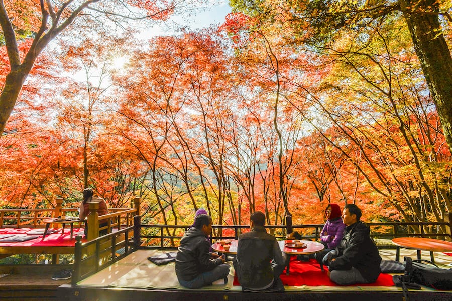 Tea House Under Red Maple Leaves at Autumn, Mount Takao