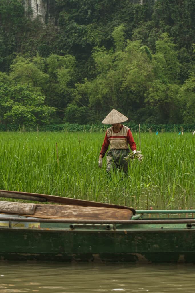 Tam Coc