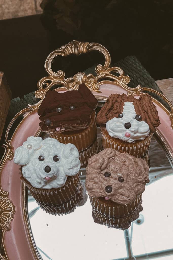 Dog cupcakes seoul