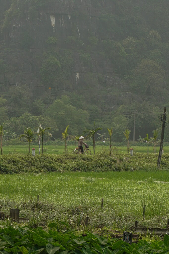 Ninh Binh Cycling