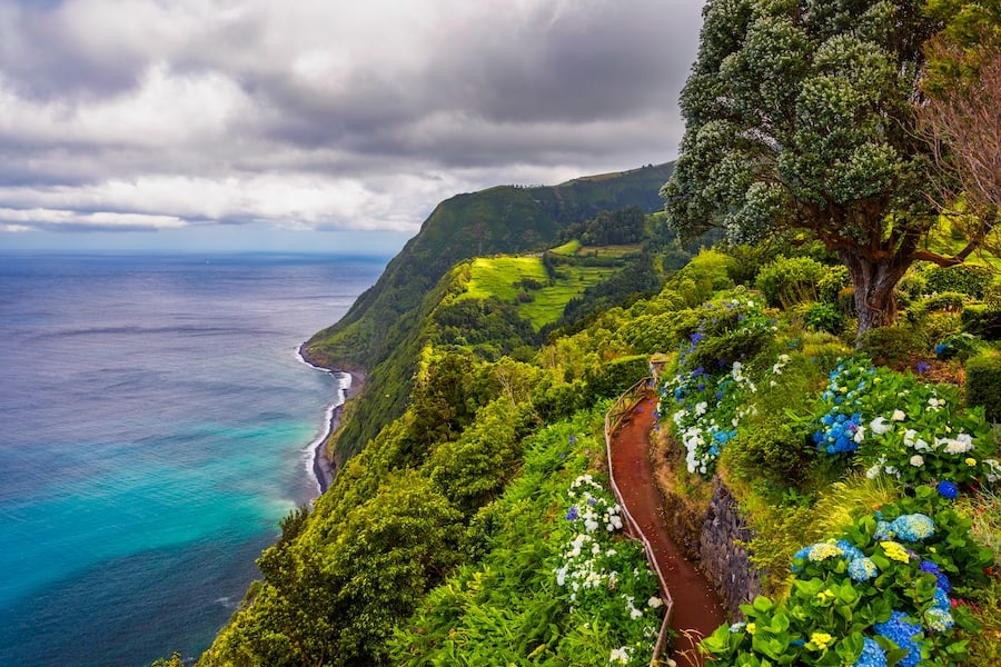 iewpoint Ponta do Sossego, Sao Miguel Island, Azores, Portugal. View of flowers on a mountain and the ocean in Miradouro da Ponta do Sossego Nordeste, Sao Miguel, Azores, Portugal.