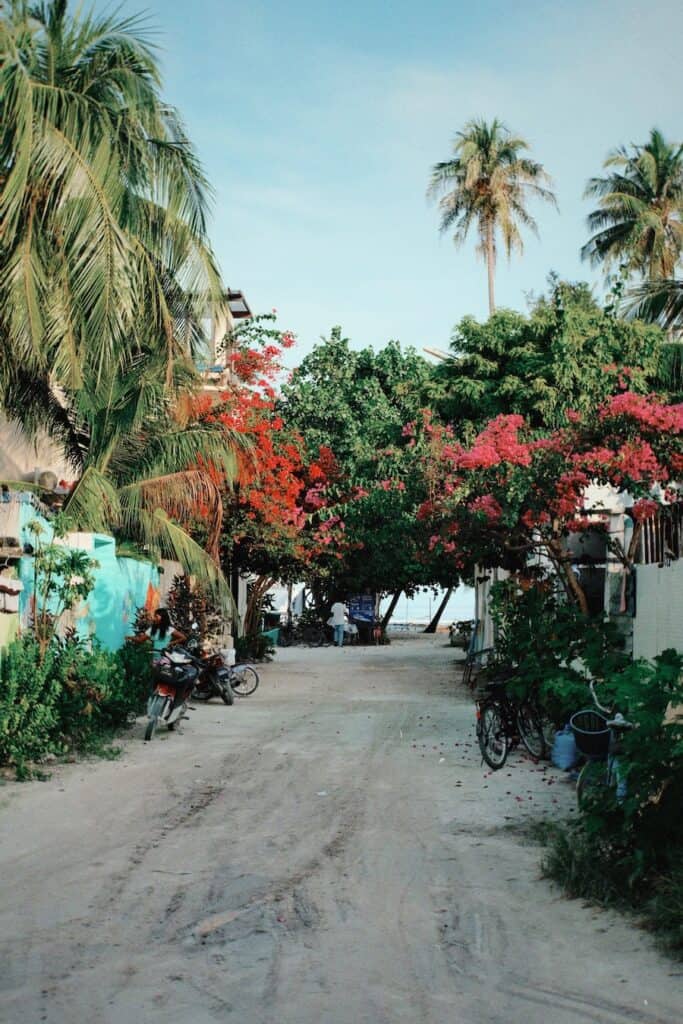 Thulusdhoo town