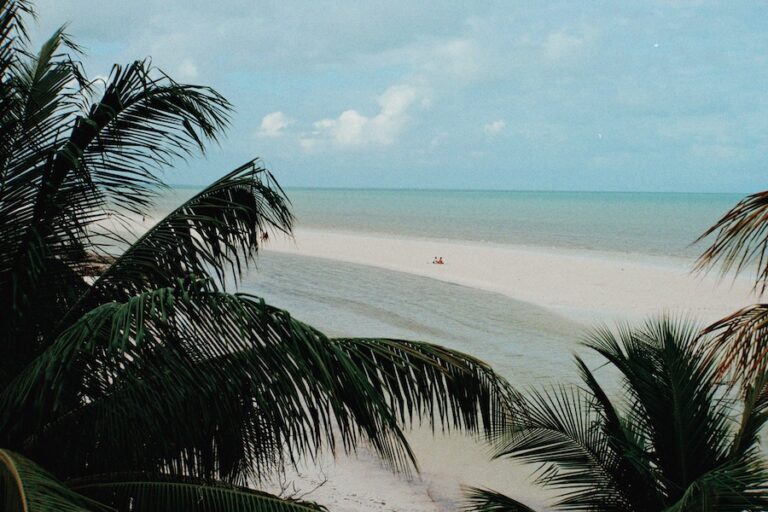 12 Best Things to do in Holbox, Mexico