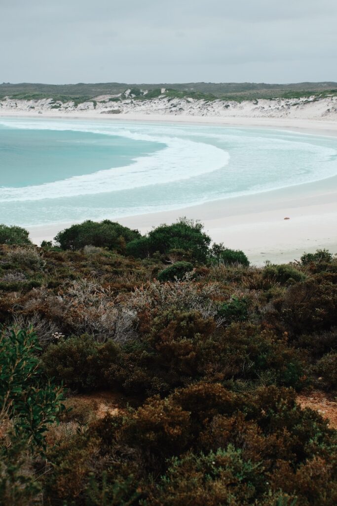 Wharton Beach Esperance