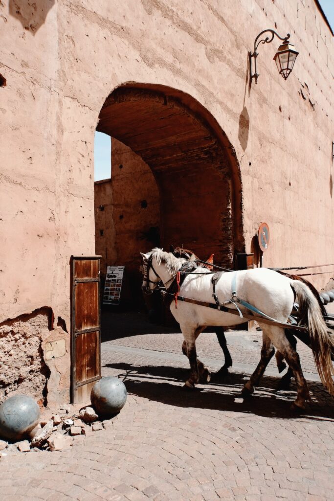 Marrakech Medina