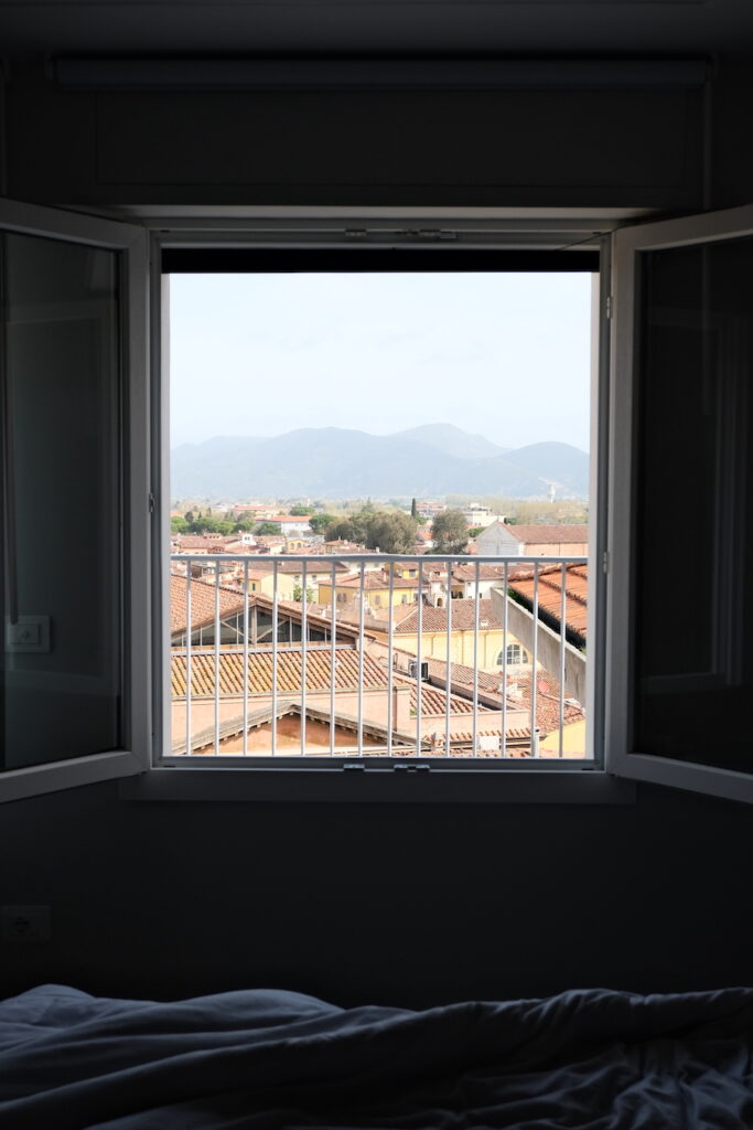 Pisa window view