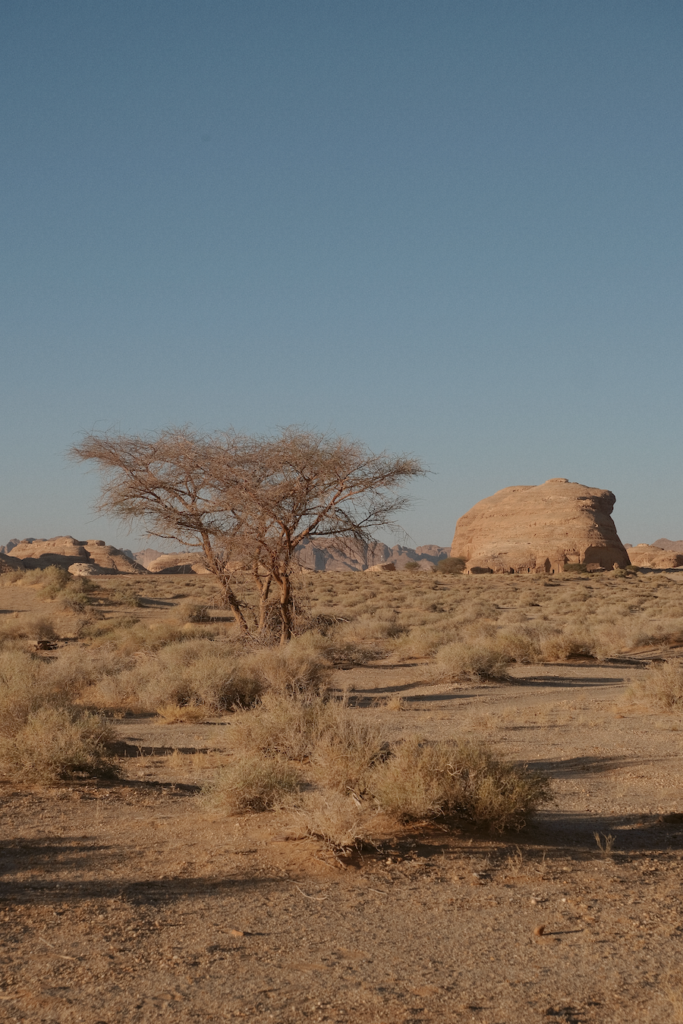 Desert in AlUla 