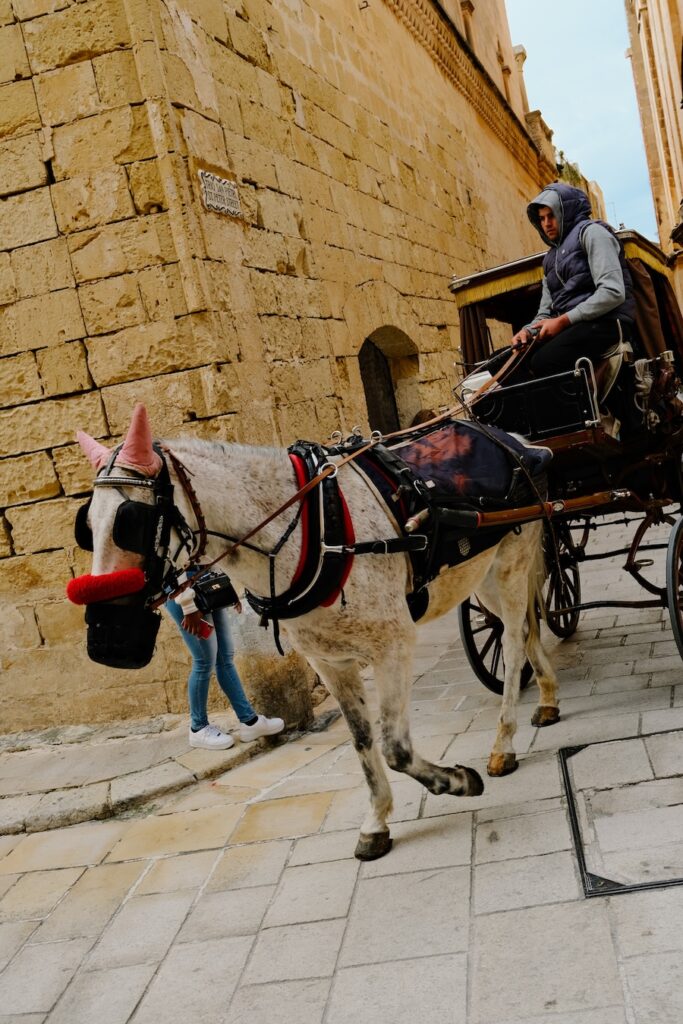 Mdina